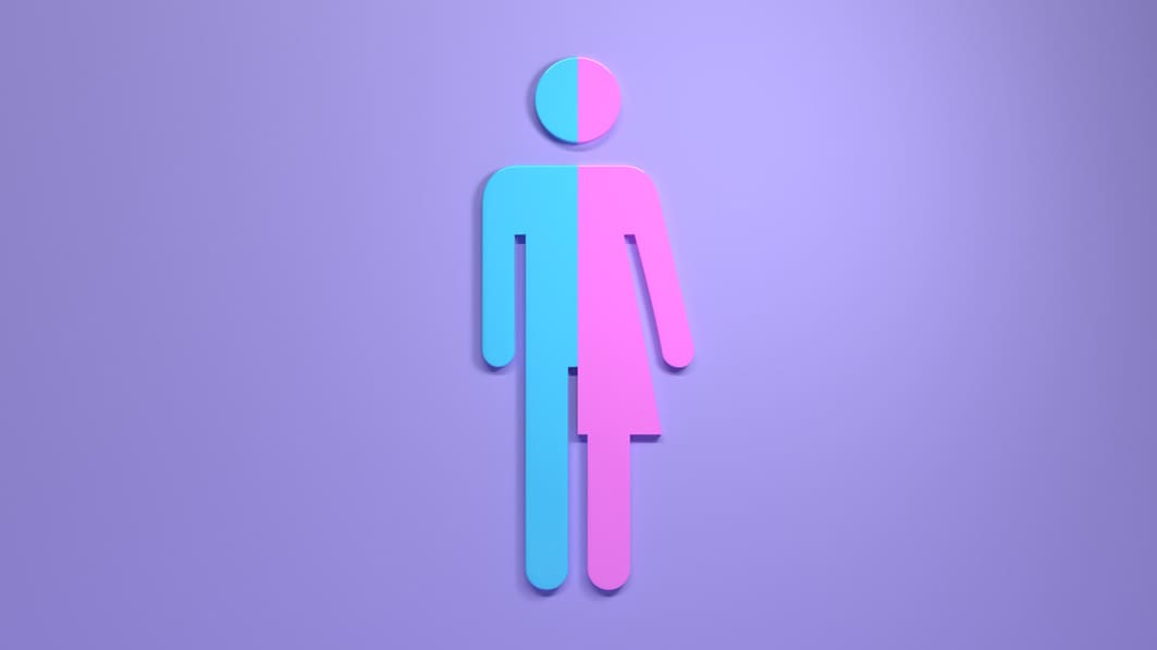 Gender studies