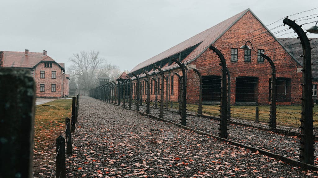 International Holocaust Memorial Day