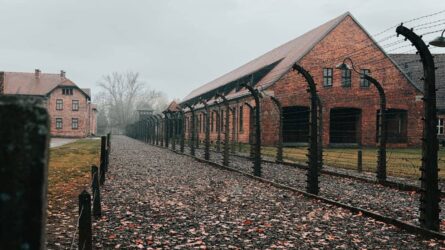International Holocaust Memorial Day