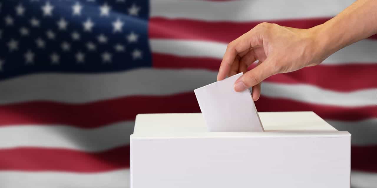 Fringe candidates in the 2020 election