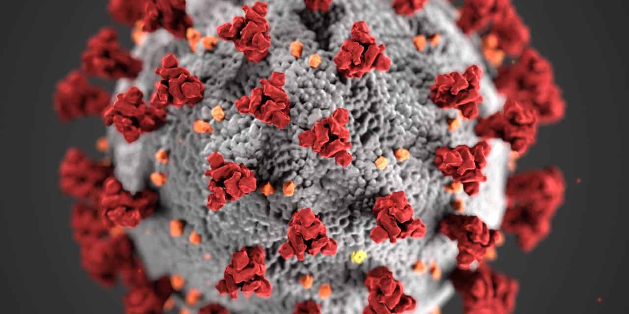Coronavirus