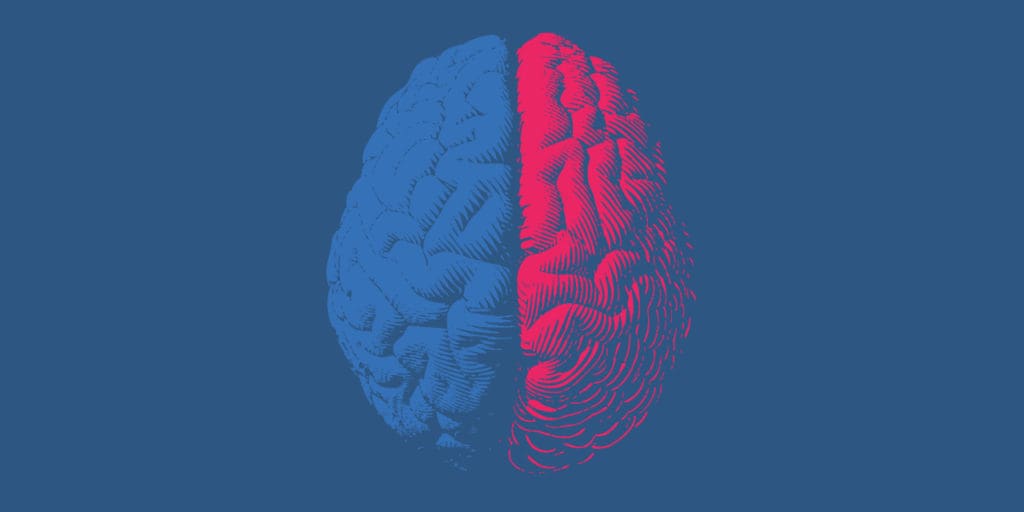Red and blue brain