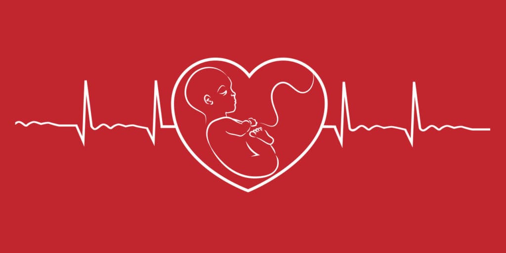Baby's heart beat
