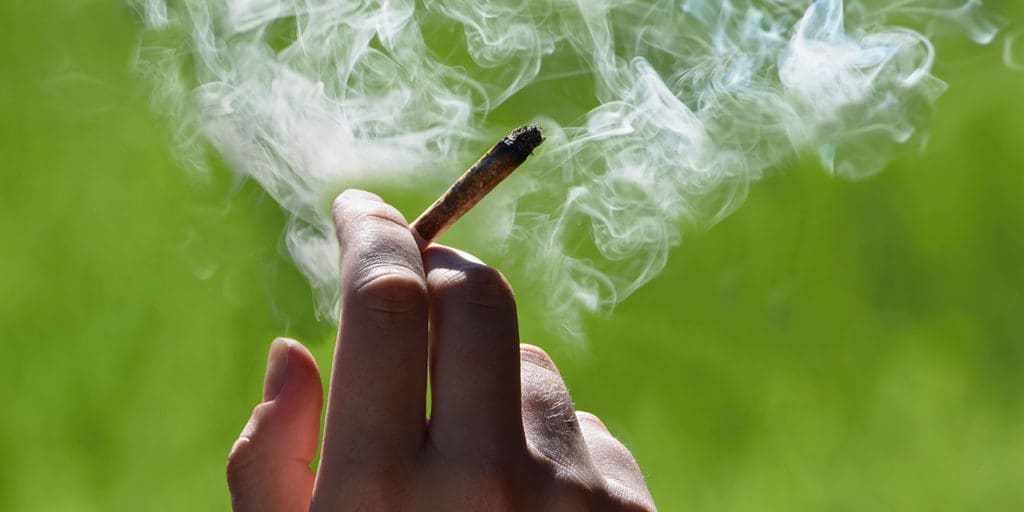 Marijuana|Marijuana