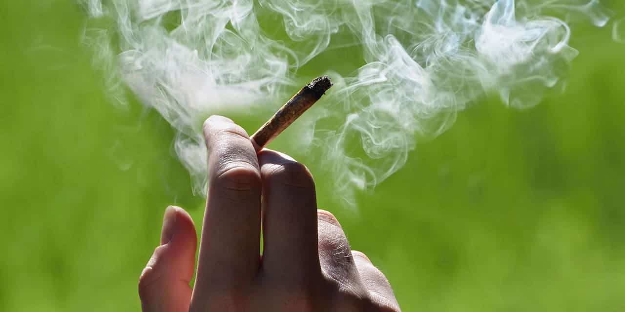 Marijuana|Marijuana