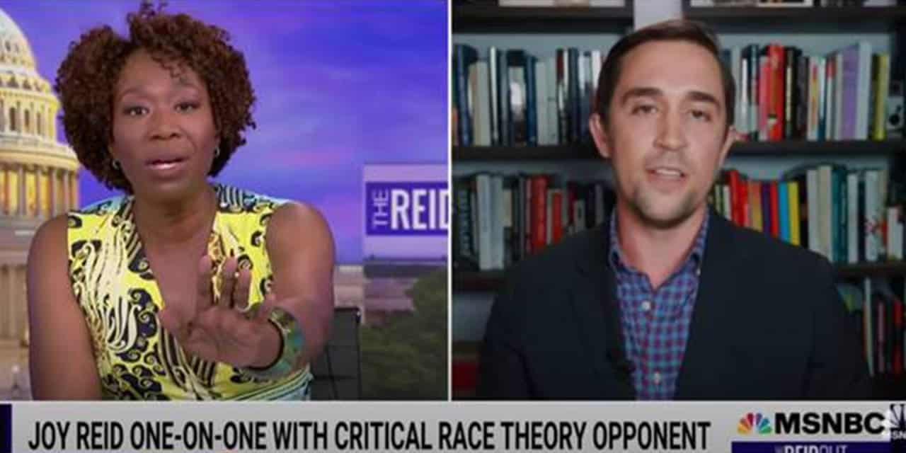 Joy Reid interview