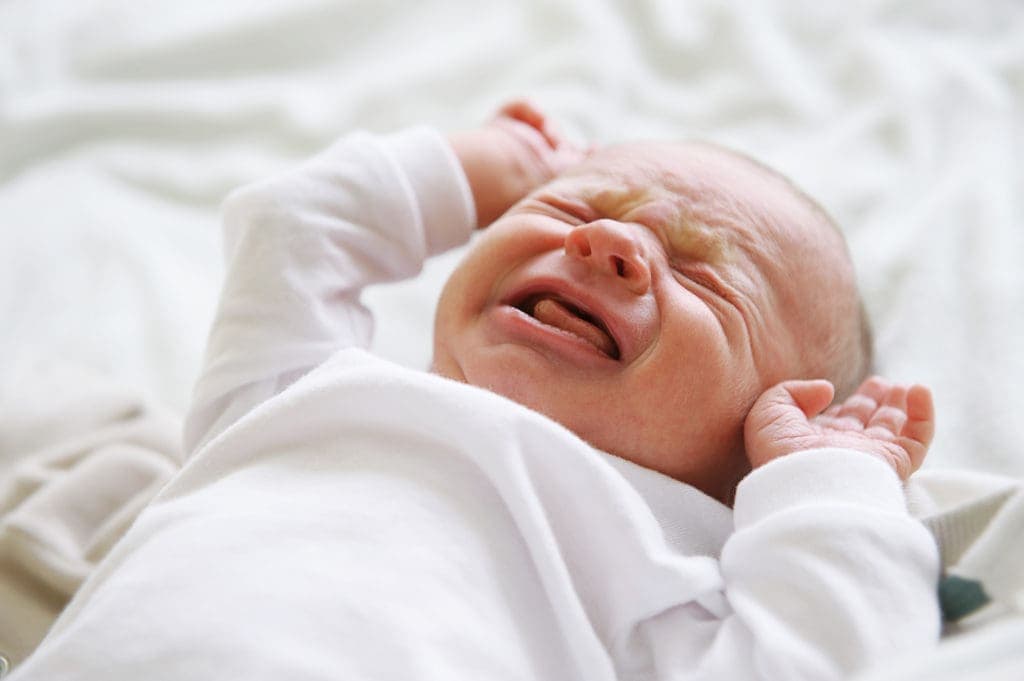 Newborn Baby|Abandoned Baby Note