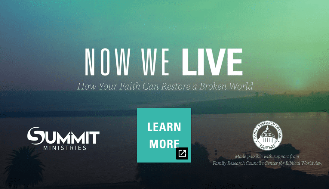 Now We Live|Now We Live