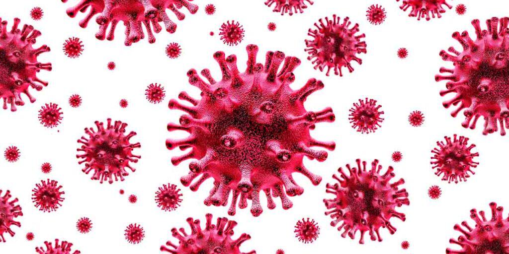 Coronavirus cell