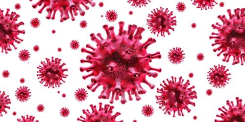 Coronavirus cell