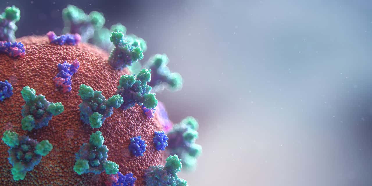 Coronavirus