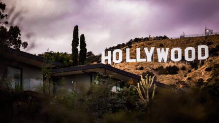 Hollywood's Liberal Elites