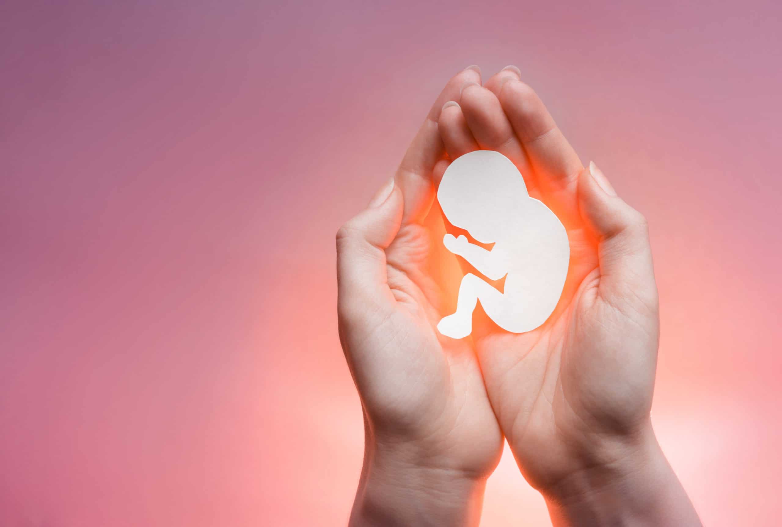 Abortion Photo