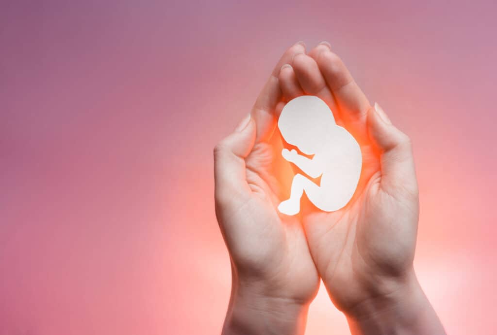 Preborn Baby Hands