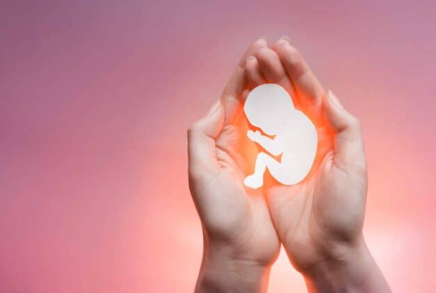 Preborn Baby Hands