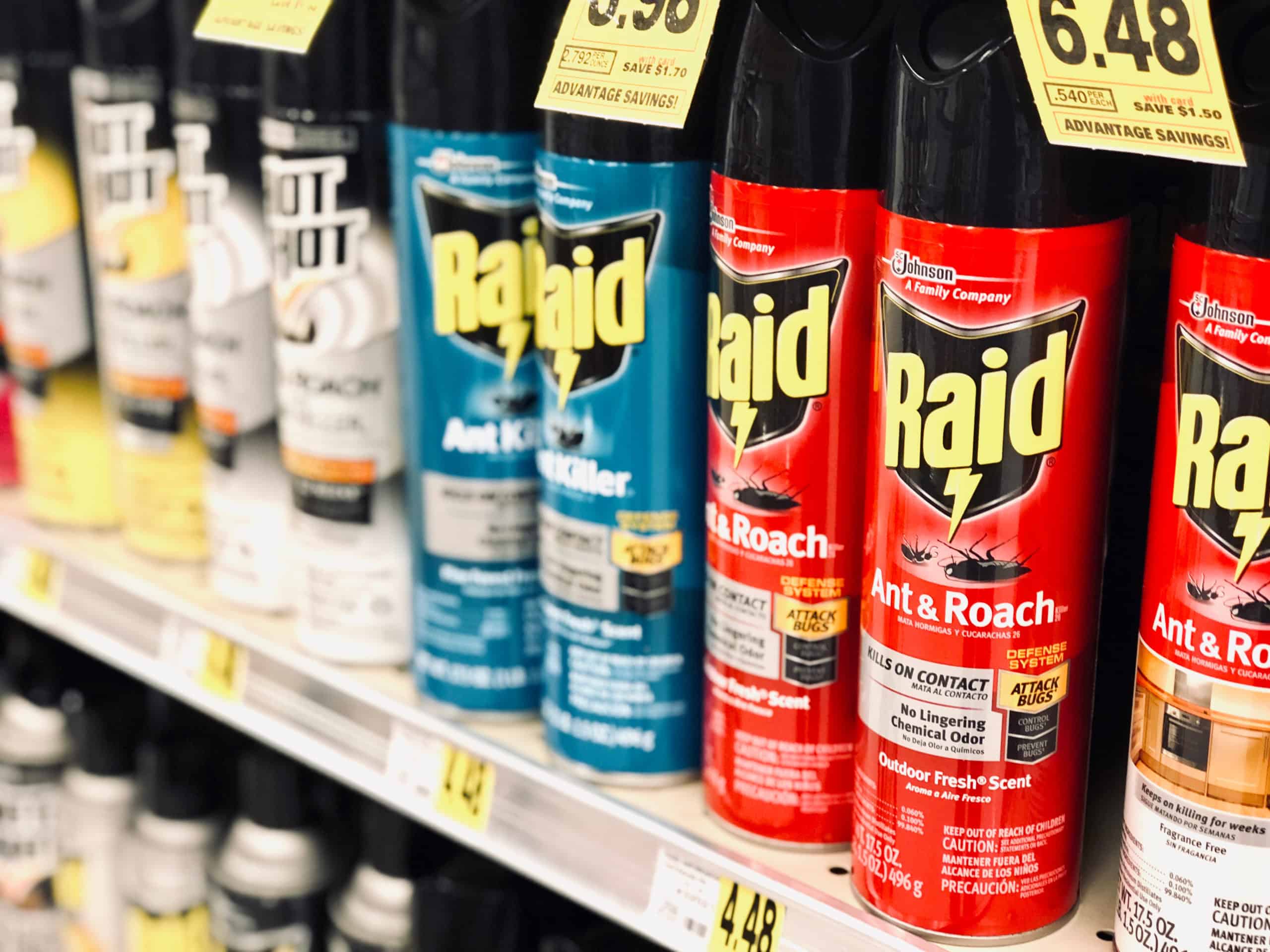 Raid