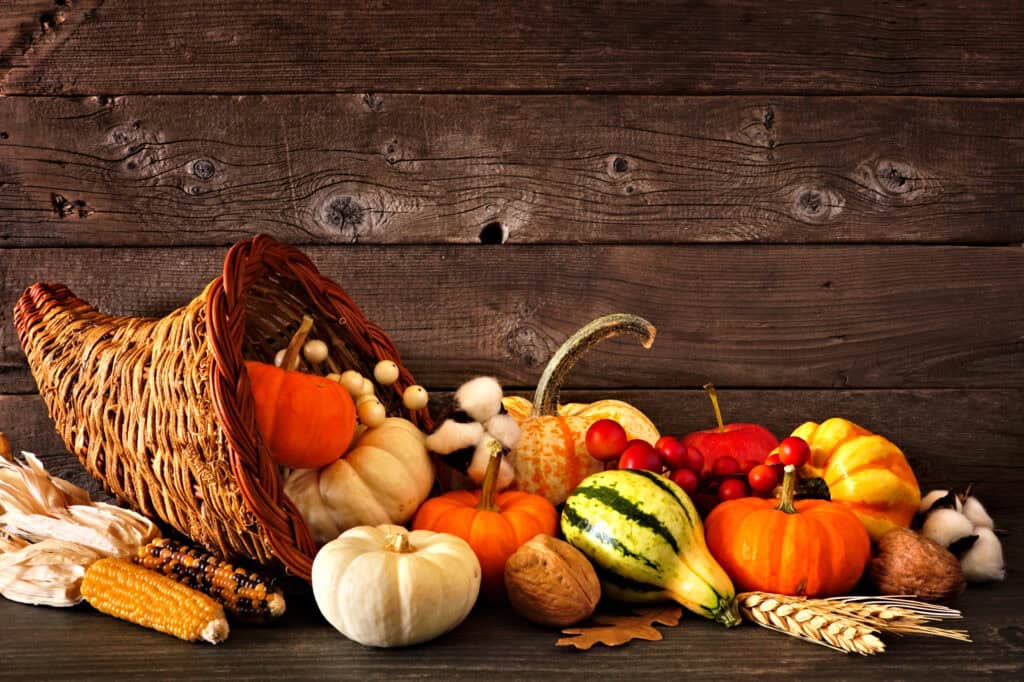 Cornucopia Thanksgiving