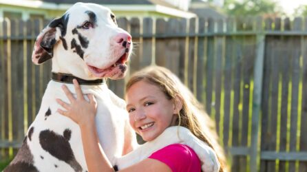 |
